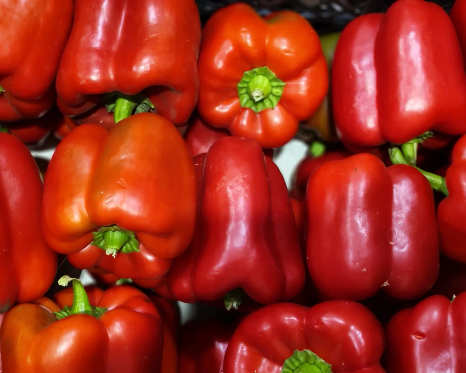 Foodstuff Trading Company